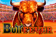 Bull Fever